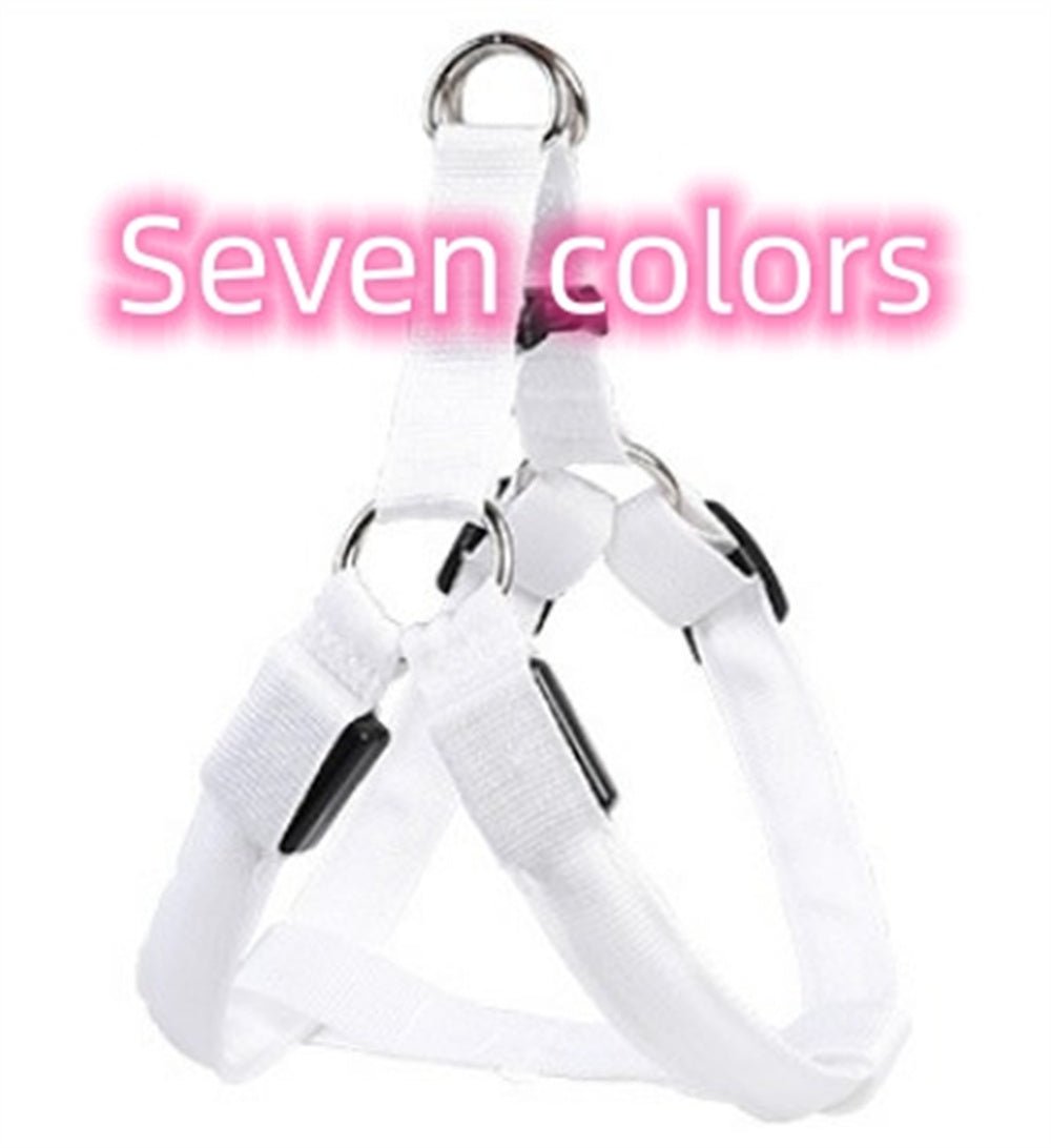 Pet Products LED Luminous Dog Chest Strap Large Dog Luminous Dog Leash - Zampycare.com