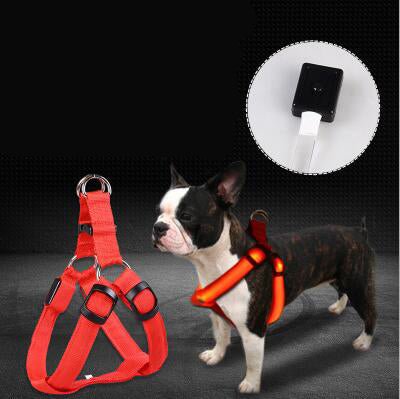 Pet Products LED Luminous Dog Chest Strap Large Dog Luminous Dog Leash - Zampycare.com