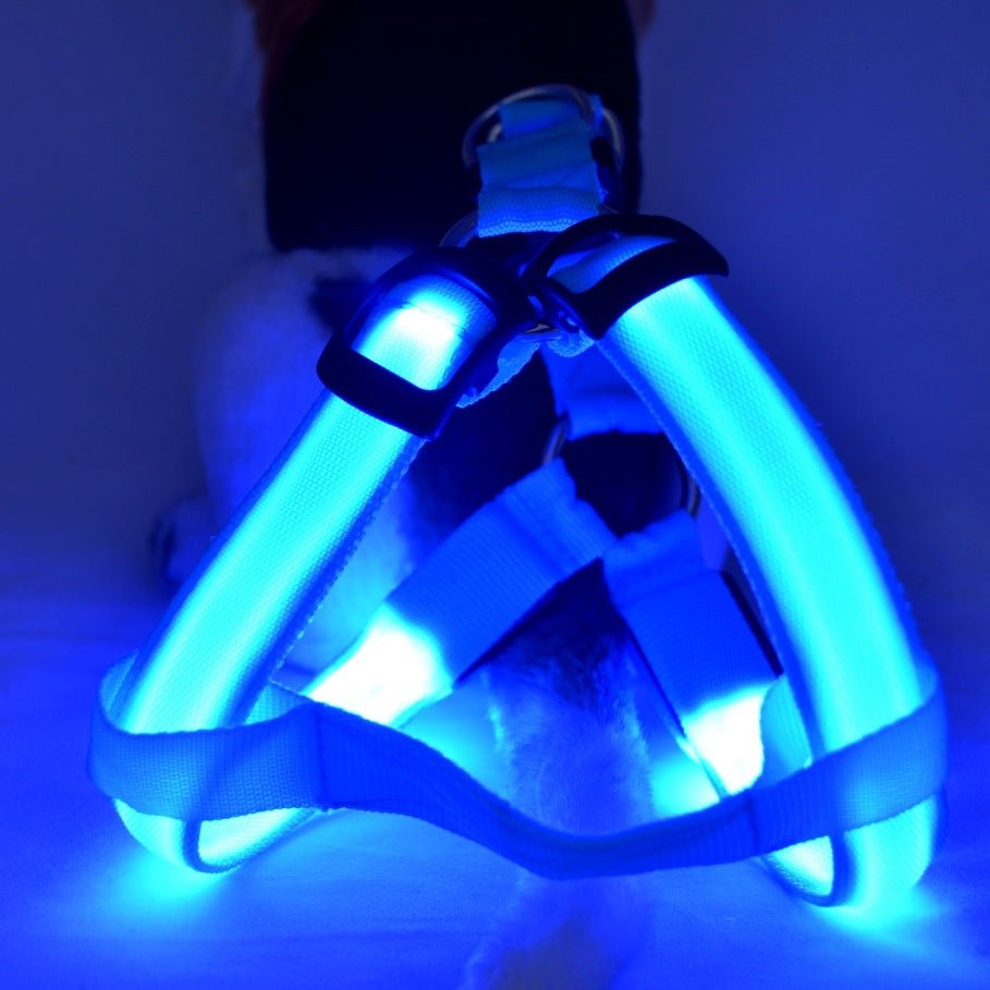 Pet Products LED Luminous Dog Chest Strap Large Dog Luminous Dog Leash - Zampycare.com
